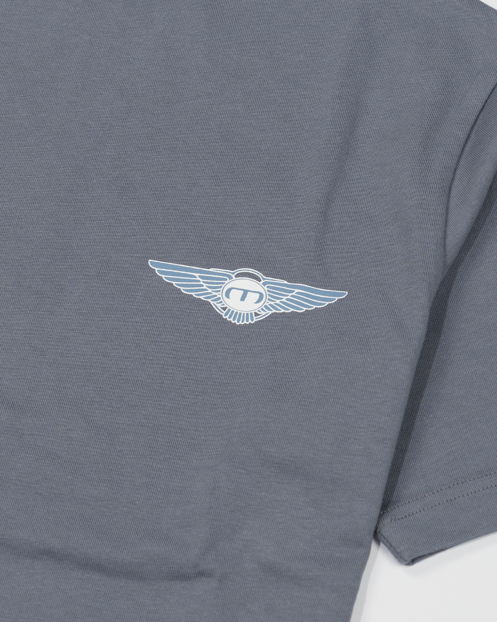 Insignia Logo T-Shirt - Turbulence/Turb
